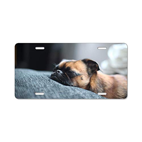 Chik yx Unique Popular Design Plate Frame Custom Collie Dog Dog License Plate Metal Car Tag 12 x 6 Inch Brown Pug Sleeping-Dog 12X6