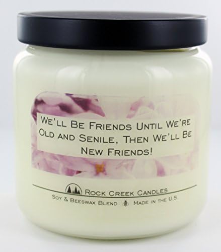 We'll Be Friends Until We're Old And Senile Cinnamon Spice 16oz Soy Candle