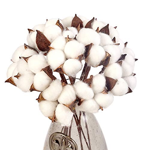 image for VGIA 20Pack Really Natural White Cotton Stems Dried Flower Branch for 