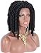 Kalyss Short Off Black Kanekalon Synthetic Twist Crochet Braids Hair Wigs for Black Women Middle Parting 100% Hand Tied Ear to Ear Lace Front Wigs,12 inches 10.58oz