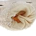 APAS Women Winter Fluffy Bear Cat Plush Paw Claw Glove Half Finger Cute Gloves Mittens Beige