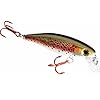 Dynamic-Lures-Trout-Fishing-Lure-Multiple-BB-Chamber-Inside-2-Size-10-Treble-Hooks-For-Fishing-Bass-Trout-Walleye-Carp-Count-1