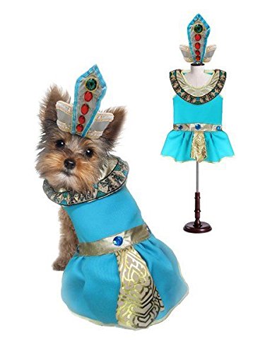 CLEOPATRA DOG COSTUMES - Dress Your Dogs as Jeweled Egyptian Princess Outfit(Size 6)