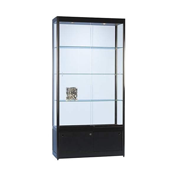 DELIGHT DISPLAYS® Vitrine Glasvitrine Standvitrine Sammlervitrine Basic 1000 Alu Schwarz Glas beleuchtet abschließbar…