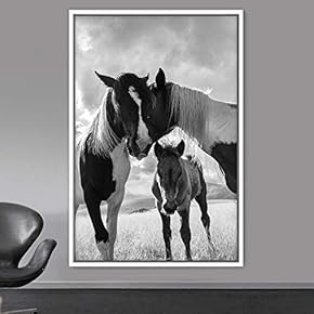 signwin Framed Canvas Wall Art High Contrast Horse...