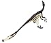 Carnegie Collection: Velociraptor