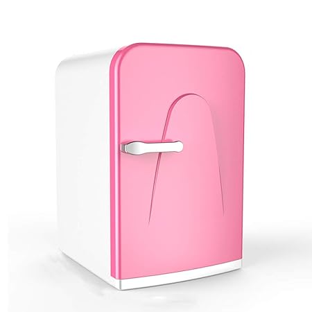 Mini frigorífico Eléctrico Refrigerador y calentador-16 litros ...