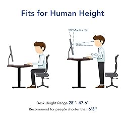 FLEXISPOT EC1 Electric Standing Desk Whole Piece 48