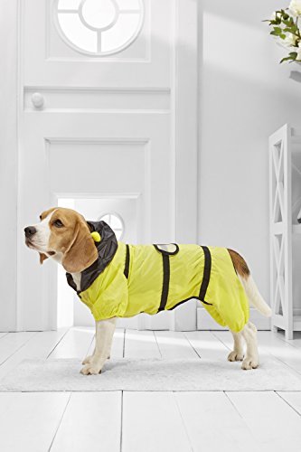 Medium Dog Bee Raincoat With Hood For Beagle Cocker Spaniel Sheltie Dachshund (Medium Plus Size, yellow, black)