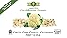 BioTree Labs Freeze Dried Cauliflower - Pack of 1 oz, 100% Natural Healthy Snacks | Great for Hiking, Backpacking, Adding to Pasta or Broths in Cooking | NO Added Sugar or Preservatives, Gluten Free