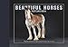 Beautiful Horses Postcard Book: 30 Postcards of Champion Breeds to Keep or to Send (Beautiful Animals) by 