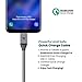 RAMPOW Fast Charging USB C Cable [6.5ft, 2-Pack, QC 3.0] - Nylon Braided USB Type C Cable - 3A Charger Cable for S9/S10/S20/S8/Note 9/10, LG G7/V20 and More - Silver