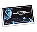 2019 S United States Mint Proof Set with Bonus 2019 