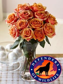 Defenders of Wildlife Majestic Sunset Roses