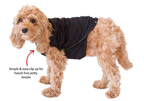 dog onesie instead of cone