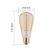 12-Pack Edison Light Bulb 40W - Vintage Squirrel Cage Filament Amber Glass Incandescent Lamps - Antique Vintage Old Fashion ST64 2200K Warm White E26 Dimmable