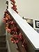 Forever Flowers Fall Leaves Garland Decoration (10 Strands) | Each Vine 6.5ft of Beautiful Autumn Colored Leaves for Indoor/Outdoor Fall Decor