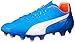 PUMA Men's Evospeed 3.4LTHFG Soccer Shoe