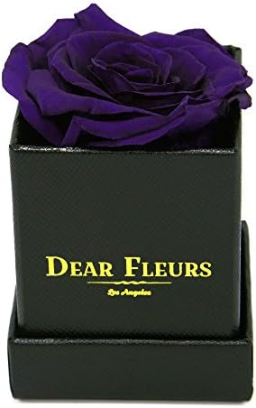 Dear Fleurs Handmade Preserved Flower Petit Rose Box, Fresh Rose, Eternity Rose, Gift for Valentine's Day, Anniversary, Birthday (Violet)