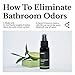 Mask Toilet Spray - Travel Size Bathroom Spray, Pack of 3, Bathroom Air Freshener, Bathroom Deodorizer - Frangipani & Spiced Pear Scent, 10.2 Fl Oz