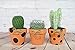 My Urban Crafts 24 Pcs Small Terra Cotta Pots 2.5 x 3 inch Mini Flower Clay Pots with Drainage Hole Ceramic Pottery Terracotta Planter for Succulents and Cactus Plants, Wedding Bridal Party Favors