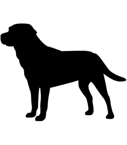 Plantilla Para Perro Labrador, 11,7x8,3 Pulgadas, Reutilizable, Para Pintar - AliExprs