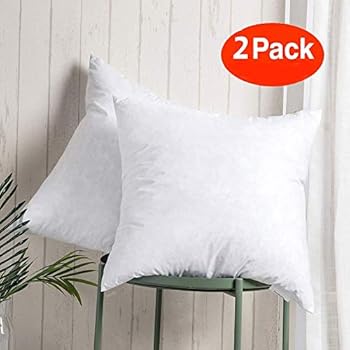 Amazon Com 100 Cotton Throw Pillow Insert Sham Stuffer Filled