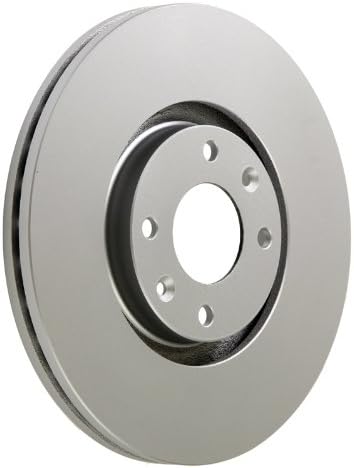 Pagid EBD20240 Front Brake Disc Kit 2 Pieces 302mm Externally Vented Coated