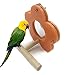 Legendog Bird Perch Creative Bird Stand Perch Bird Cage Toy Parrot Toy with Flower Mirrorthumb 3