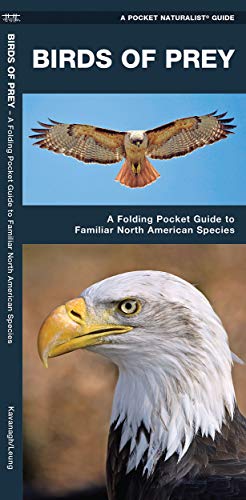 free download pocket guide to birds