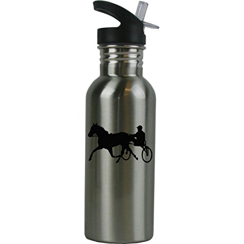 Personalized Custom Harness Horse Racing Stainless Steel Water Bottle with Straw Top 20 Ounce Sport Water Bottle Customizable