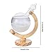 PAWACA Storm Glass, Creative Stylish Desktop Globe Crystal Storm Glass Crafts Weather Storm Forecast Predictor Bottle with Original Wood Base Beautify Home Office Birthday Gifts
