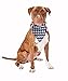 American Flag Pet Bandana - 4th of July Sale Handmade Large Dog or Cat Handcrafted Flag Design Bandana for Pets,