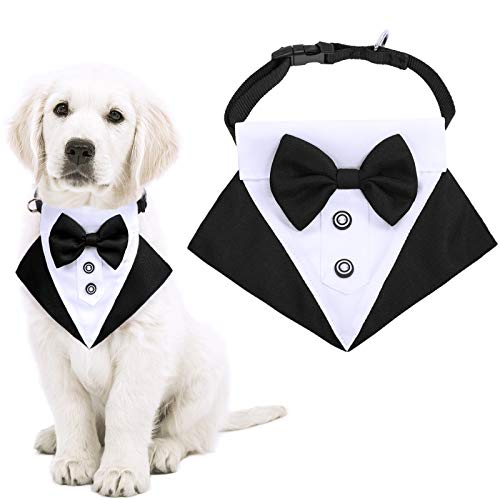 Pañuelo Bandana Negro Liso Para Perro – Regalo Ideal Para Mascotas, Tela Suave