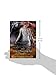 City of Heavenly Fire (The Mortal Instruments)