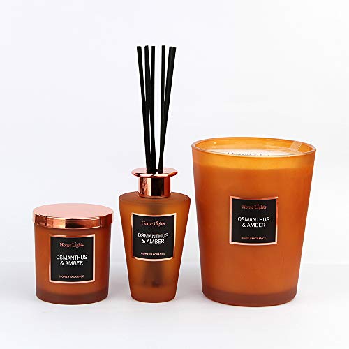 Home Lights Reed Diffuser Gift Set, Natural Scented Long Lasting Osmanthus Amber Fragrance Oil for Home Office Gift Idea, Aromatherapy Air Freshener and Stress Relief, 200ml/6.76 fl.oz - Thumbnail 2