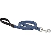 LupinePet Eco 3/4" Mountain Lake 6-Foot Padded Handle Leash for Medium and Larger Dogs