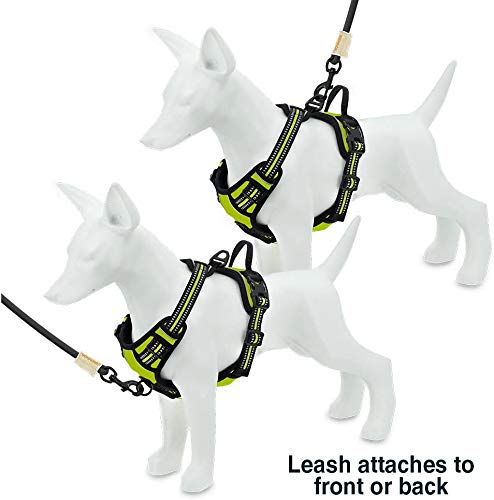 voyager no pull harness