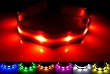 GoDoggie-GLOW USB Rechargeable LED Dog Safety Collar, X-Large ( 16.9 - 27.5