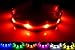 GoDoggie-GLOW - Improved Dog Visibility & Safety - USB Rechargeable LED Dog Safety Collar - 7 Colors & 5 Sizes - Super-Bright LED's Glow & Flash - Connects to Devices to Recharge - Great Fun, Peace of Mind & Safe - Red Extra Small