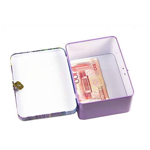 dream_light Retro Style Rectangle Tinplate Storage Box with Padlock, Home Kitchen Desktop Storage Tin Canister, Chocolate Candy Tea Coffee Cosmetics Jewelry Photos Gift Case (Apricot Flower)