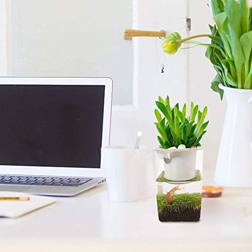 水族館の水槽 魚野菜共生タンク透明な植物は怠惰な生態系を育てるアクアリウムオーシャンゴールドフィッシュボウル生態系水耕栽培ガーデン B087rjht66 2 032円 大人気 New Arrival 最安値挑戦 年中無休 高品質 通販