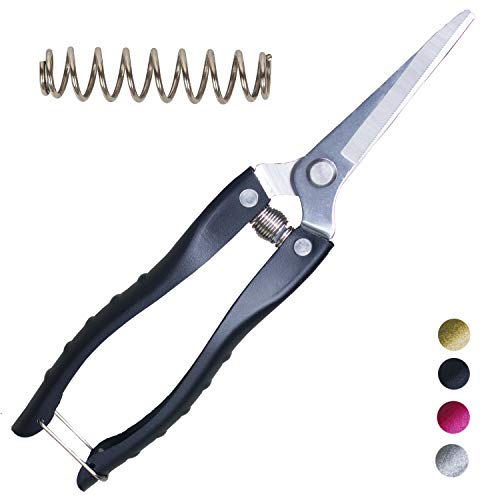 Pruning Shears Straight Tip Pruning Trimming Scissors Florist Scissors-Stainless Steel Ultra Sharp Multi-Purpose Hand Pruner Scissors for Garden Harvesting Fruits Vegetables, Trimming Flowers,Black