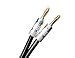 Silverback 12 AWG 259 Strand Speaker Wire with Banana Plugs, 6 Feet primary