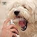 Gerrard Larriett Natural Breath Freshener Teeth and Gum Cleaner for Dogs and Cats Pet Oral Care Spray - 8 FL OZ 236ml
