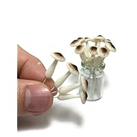 Mr_air_thai_Miniature Lot of 15 Miniature Mushroom Fairy Garden Supplies Animal Figurine Furniture Dollhouse GD#016