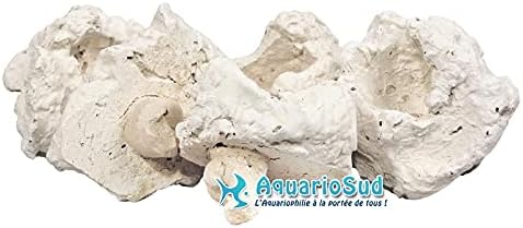 Aqua Medic Frag Board Retaining Plate with 10 Coral Pins - Image 3