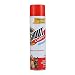 Shout Carpet Aerosol Stain and Odor Foaming Spray with OXY Power | Completely Removes Tough Urine Stains & Prevents Remarking | for Large Areas, Pack of 2, 2 Count