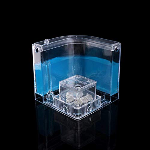 YueYueZou® Ants Farm Kit, Translucent Ants Habitat Educational Gel