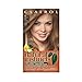Clairol Natural Instincts 10 Sandalwood Dark Cool Blonde 1 Kit (Pack of 3) (packaging may vary)